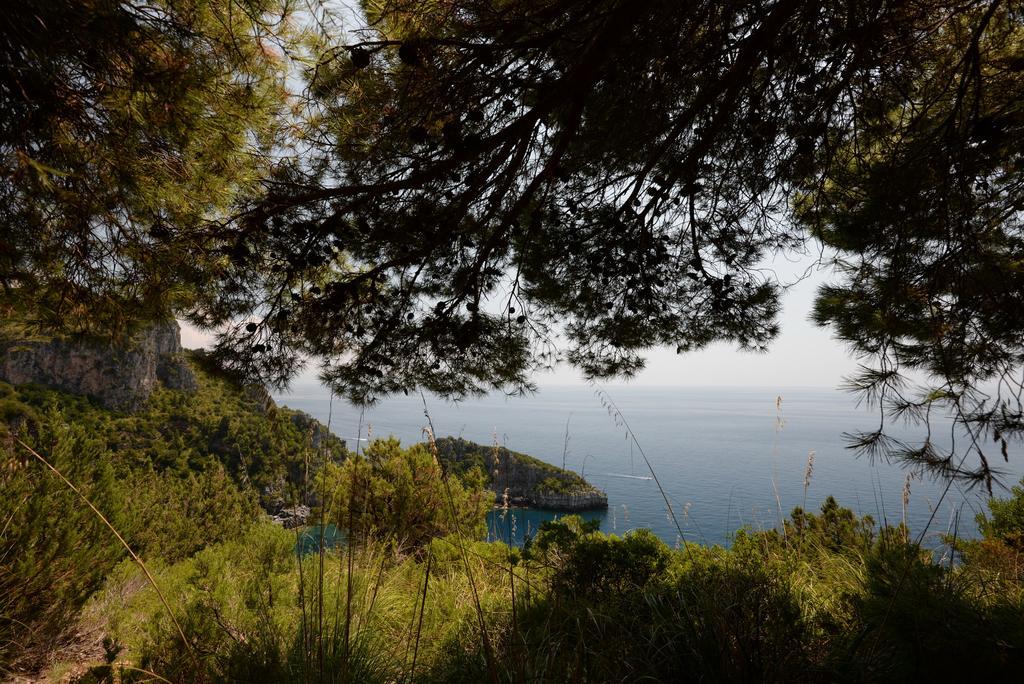 Villino Iolanda Βίλα Marina di Camerota Εξωτερικό φωτογραφία