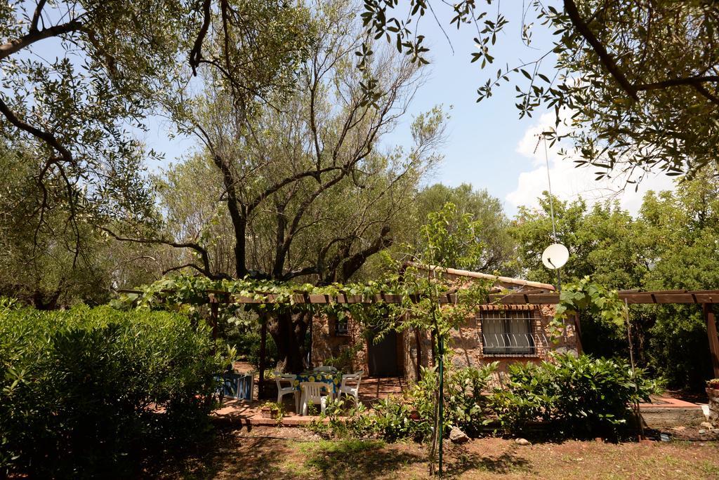 Villino Iolanda Βίλα Marina di Camerota Εξωτερικό φωτογραφία