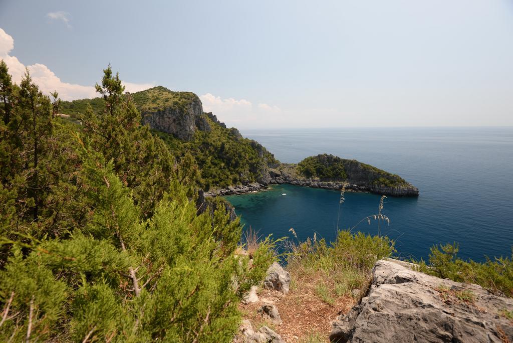 Villino Iolanda Βίλα Marina di Camerota Εξωτερικό φωτογραφία